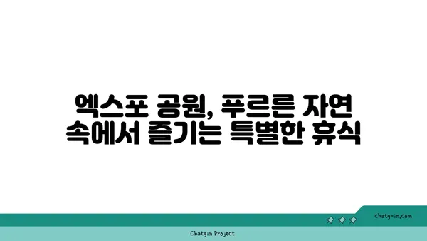 대전 엑스포 포레스트 오늘 숲 도룡점