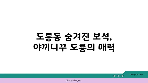야끼니꾸 도룡, 소고기 맛집과 감성 술집의 조화