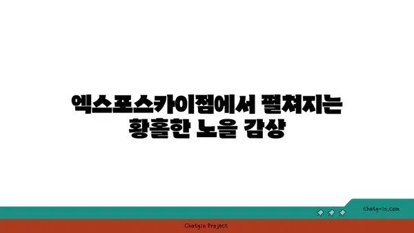 스타벅스 대전 엑스포스카이점, 노을을 바라보며 즐기는 맛집
