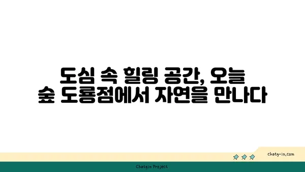 대전 엑스포 포레스트 오늘 숲 도룡점