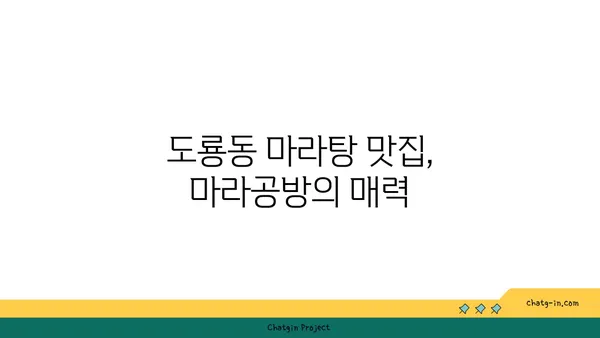 대전 도룡동 마라탕 맛집 마라공방