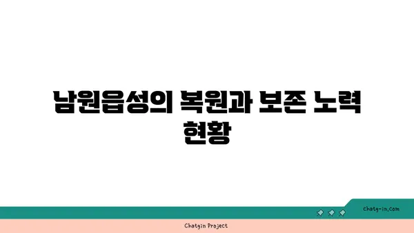 서귀포의 역사적 유산 탐방: 남원읍성