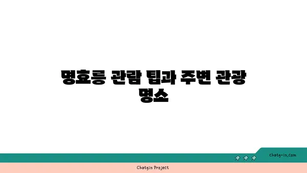 명효릉, 중국의 역사적인 무덤