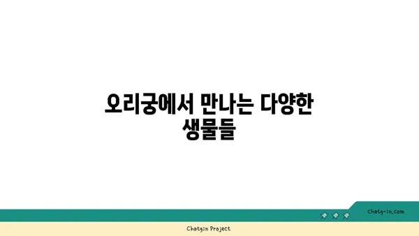 성남의 역사적 보석 오리궁 탐험