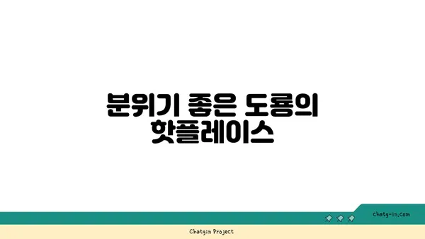 대전 엑스포 맛집, 포레스트 오늘 숲 도룡점