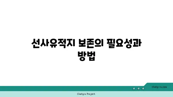 가야고 선사유적지의 비밀 밝히기