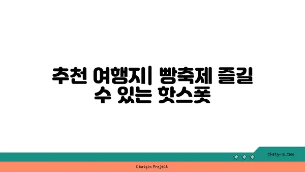 기본 정보, 빵축제 추천 여행지, 성심당 라인업, 호텔 정보