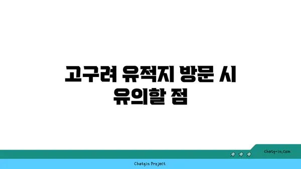 과거로의 여행: 고구려 고분벽화 분묘 탐험