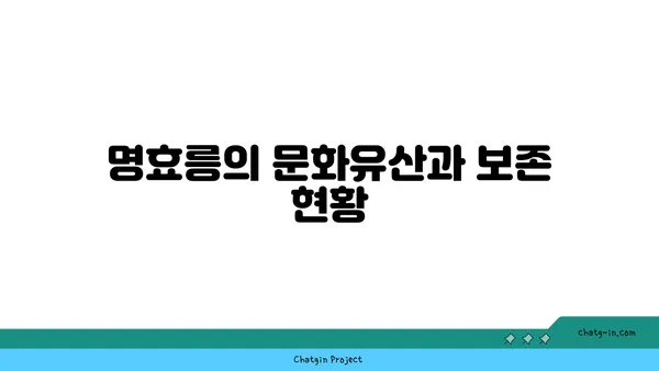 명효릉, 중국의 역사적인 무덤