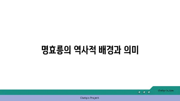 명나라의 흔적: 중국 난징의 명효릉