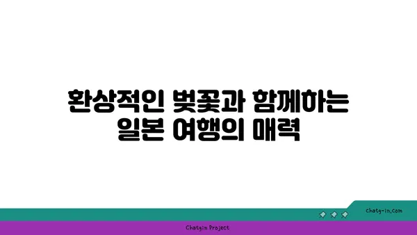 숨이 멎을 듯 아름다운 코로나 이후 일본 관광지