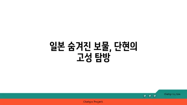 일본의 숨겨진 보물, 코로나 이후 유명해진 역사적 관광지