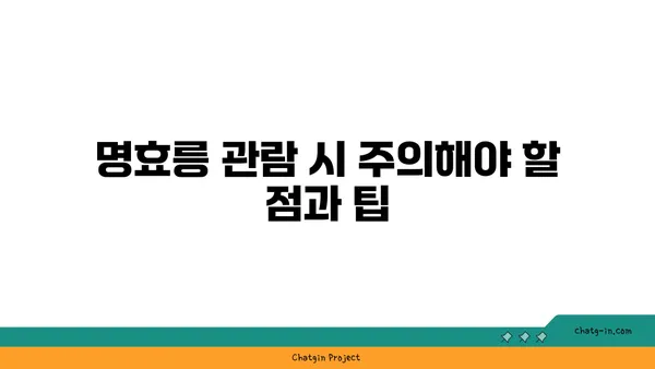 난징의 역사적 랜드마크: 명효릉
