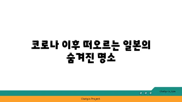 숨이 멎을 듯 아름다운 코로나 이후 일본 관광지