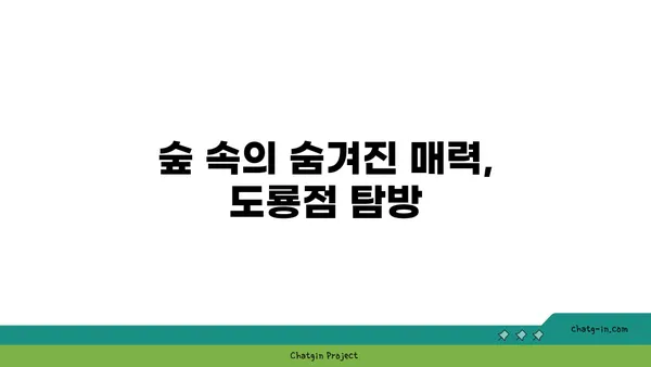 대전 엑스포 오늘 숲 도룡점, 포레스트