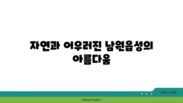 과거와 미래가 만나는 곳: 남원읍성