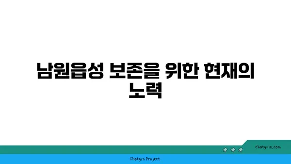 남원읍성: 과거의 유산, 미래의 전망