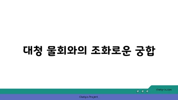 롯데시티호텔 대천에서 맛보는 대청의 얼큰한 오징어 찌개
