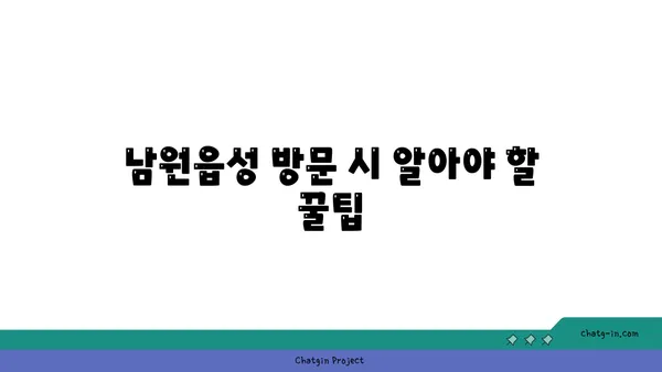 서귀포의 역사적 명소 탐방: 남원읍성