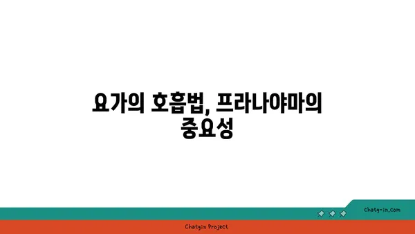 요가 수업에서 자주 사용하는 용어 해설