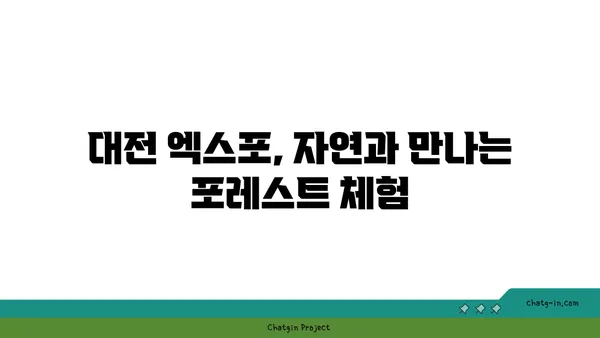 대전 엑스포 오늘 숲 도룡점, 포레스트