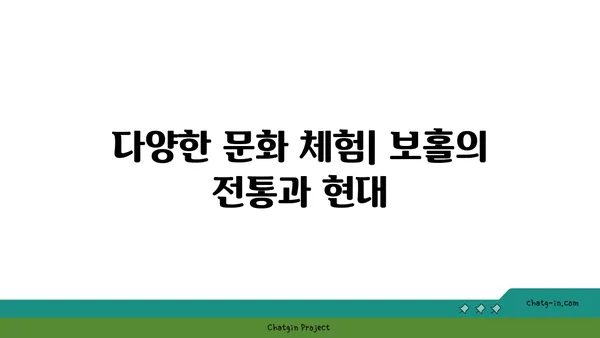 역사적 유산과 아름다운 경치: 필리핀 보홀섬의 매력