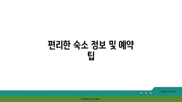 2024 대전 빵축제: 기본정보 및 주변 볼거리, 추천 숙소