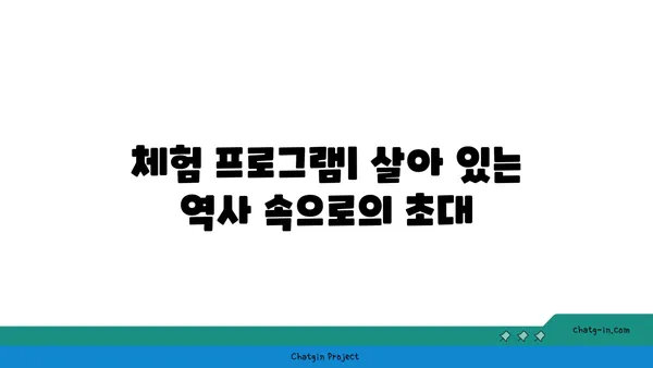가야고 선사유적지: 살아 숨 쉬는 과거의 역사 교과서