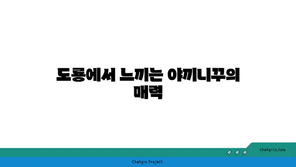 야끼니꾸 도룡 감성 술집