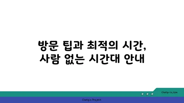 스타벅스 대전 엑스포 스카이점 38층 뷰맛집