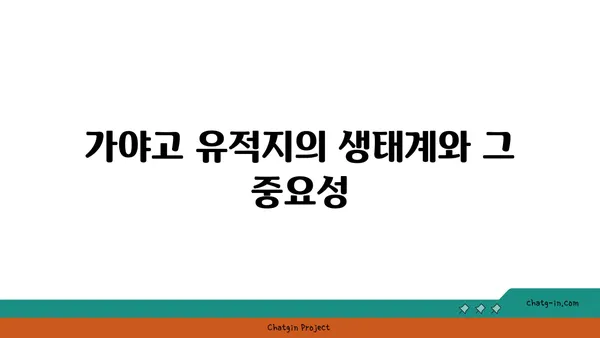가야고 선사유적지의 자연 환경과 인간의 상호 작용 탐구하기