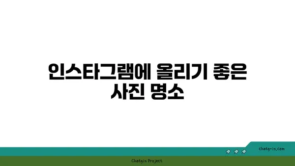 스타벅스 대전엑스포 스카이점, 사진 잘 나오는 뷰맛집