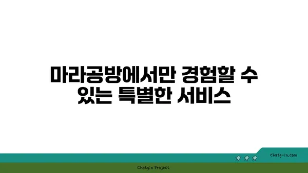 대전 도룡동 마라탕 맛집, 대전 엑스포점 마라공방