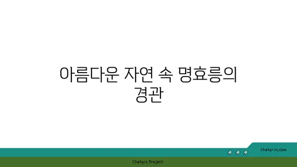 명나라의 흔적: 중국 난징의 명효릉