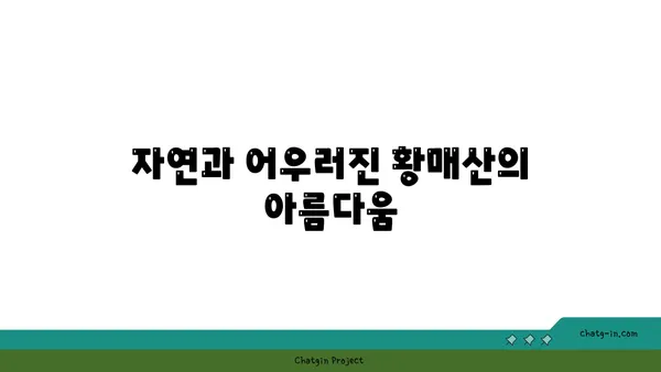 거창의 역사적 명소, 거창 황매산 영국 영빈관