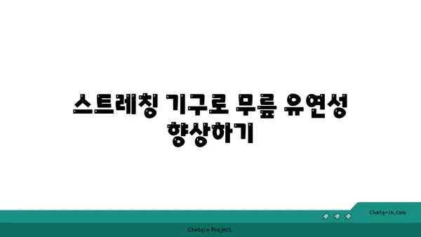 무릎 건강을 위한 요가 도구 활용법 추천