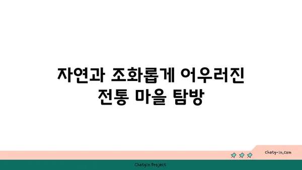숨이 멎을 듯 아름다운 코로나 이후 일본 관광지