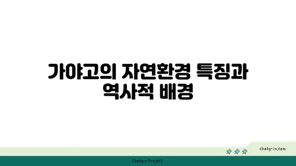 가야고 선사유적지의 자연 환경과 인간의 상호 작용 탐구하기