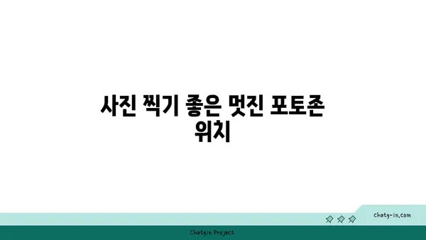 대전의 스타벅스 대전 엑스포 스카이점에서 즐기는 뷰맛집