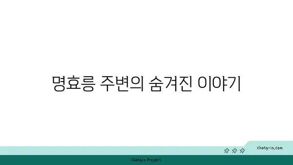 난징의 역사적 명소: 명효릉과 명나라의 유산
