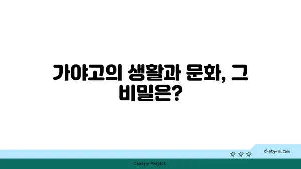 가야고 선사유적지의 비밀 밝히기