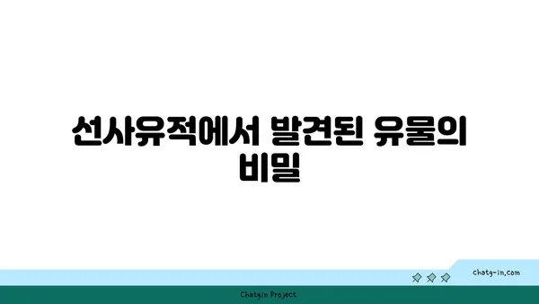 가야고 선사유적지를 통해 한국 선사시대의 미스터리를 해결하다