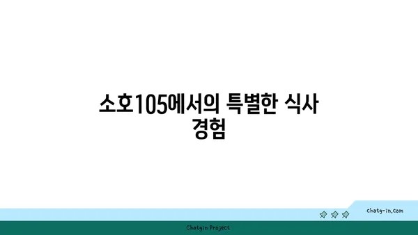 도룡동 소호105 점심 식사, 저녁 안주