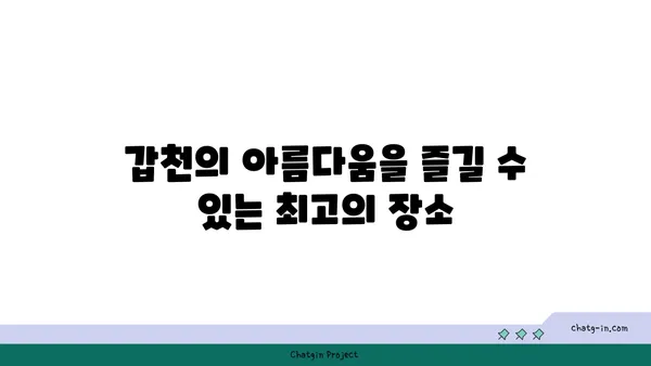블레스롤 대전 엑스포점: 갑천 뷰맛집