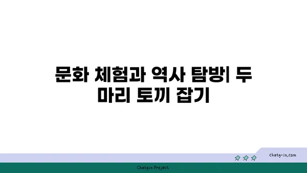 역사 여행의 매력: 역사적인 해외 관광지 탐방