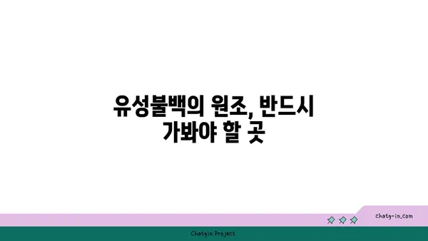 대전 엑스포 유성불백 내돈내산 맛집 추천