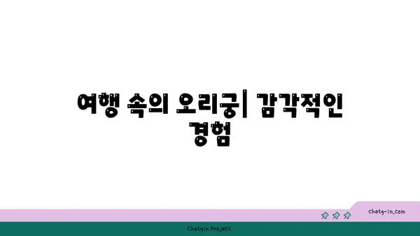 오리궁: 시간의 흐름 속으로 여행하다