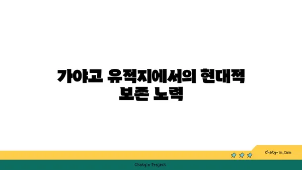 가야고 선사유적지의 자연 환경과 인간의 상호 작용 탐구하기