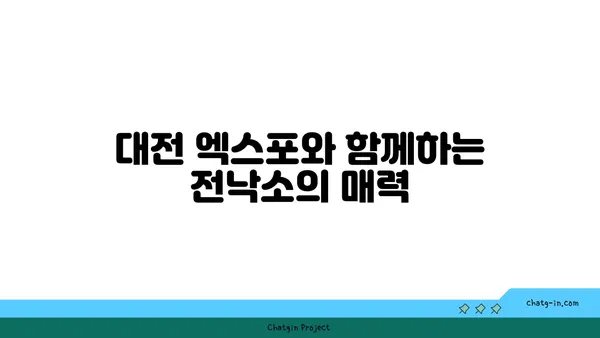 전낙소: 대전 엑스포 도룡동의 발견 밥집