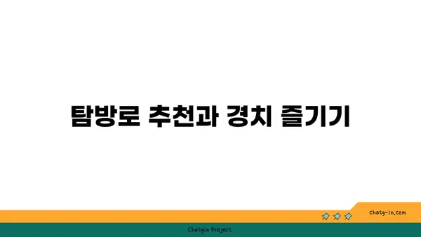 시간의 여정: 남원읍성 탐방